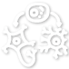 研究團隊