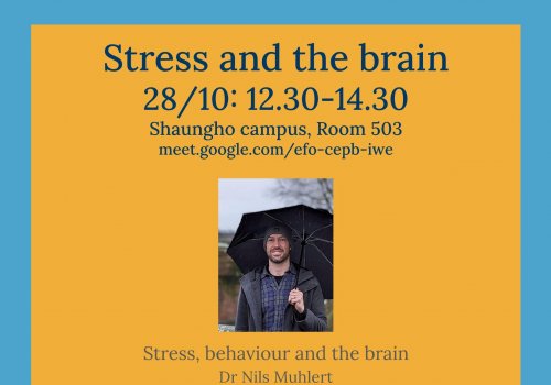【講座資訊】2025年10月28日 Stress and the Brain